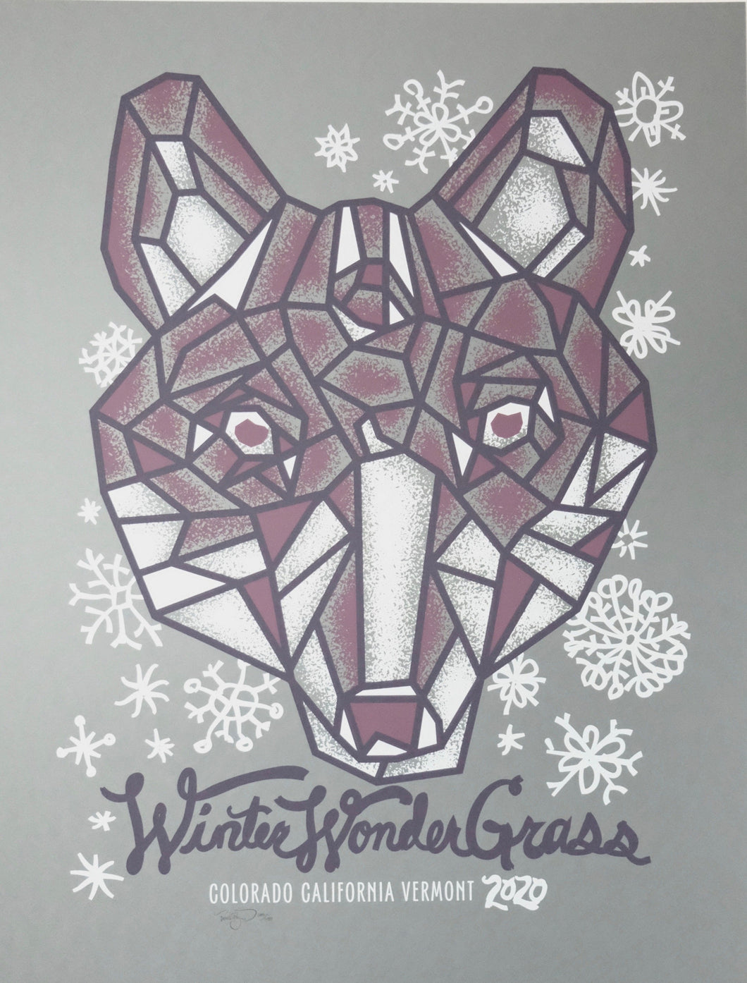 Festival Poster - WinterWonderGrass 2020 - Furturtle